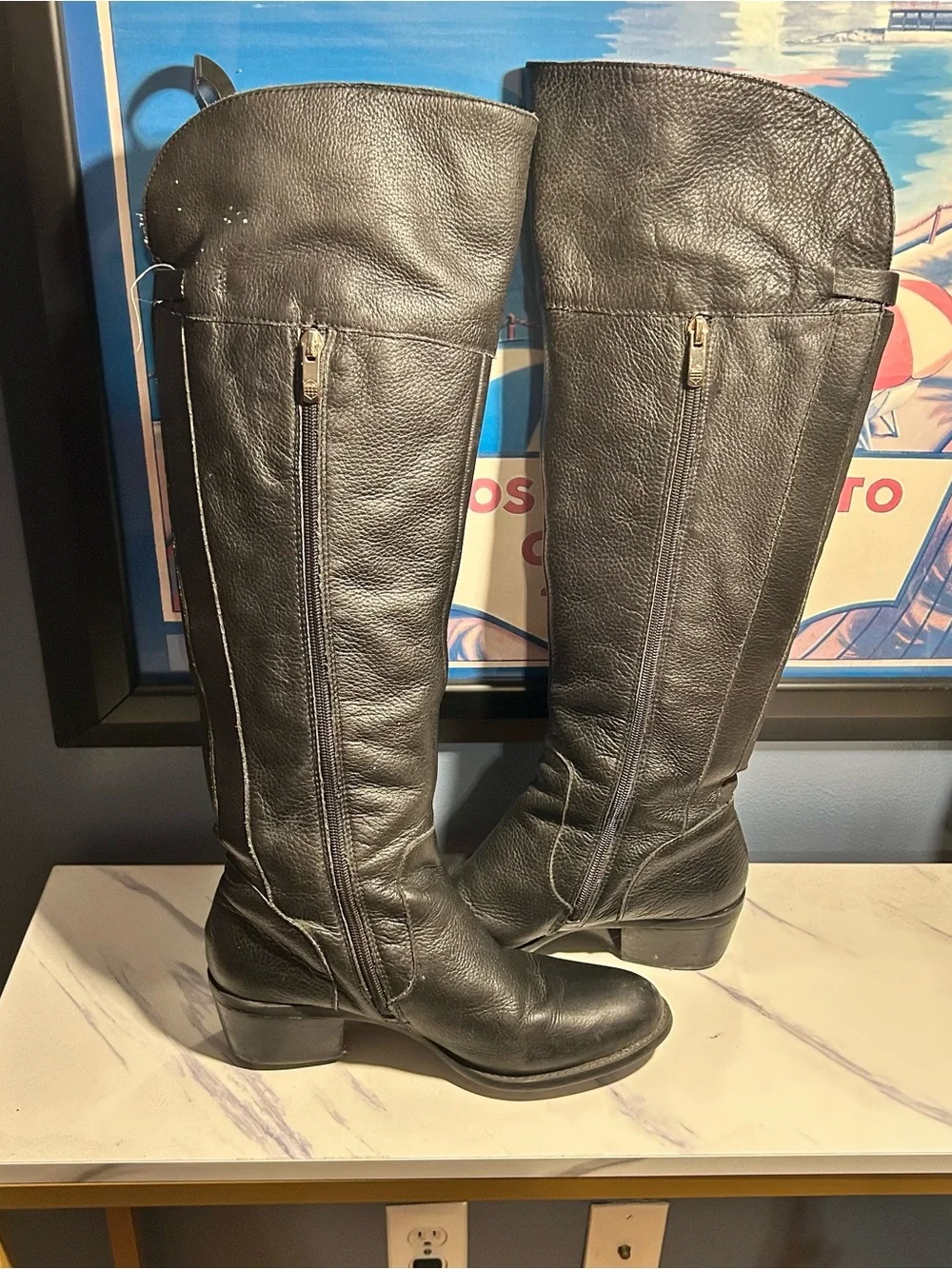 Vince Camuto Bocca Leather Zip Up boots